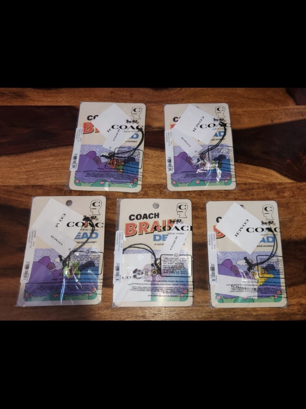 RARE collectible Coach x Brain dead DIY charms set of 5